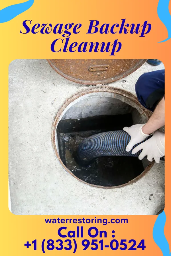 Sewage Backup Cleanup in Cloverport, KY